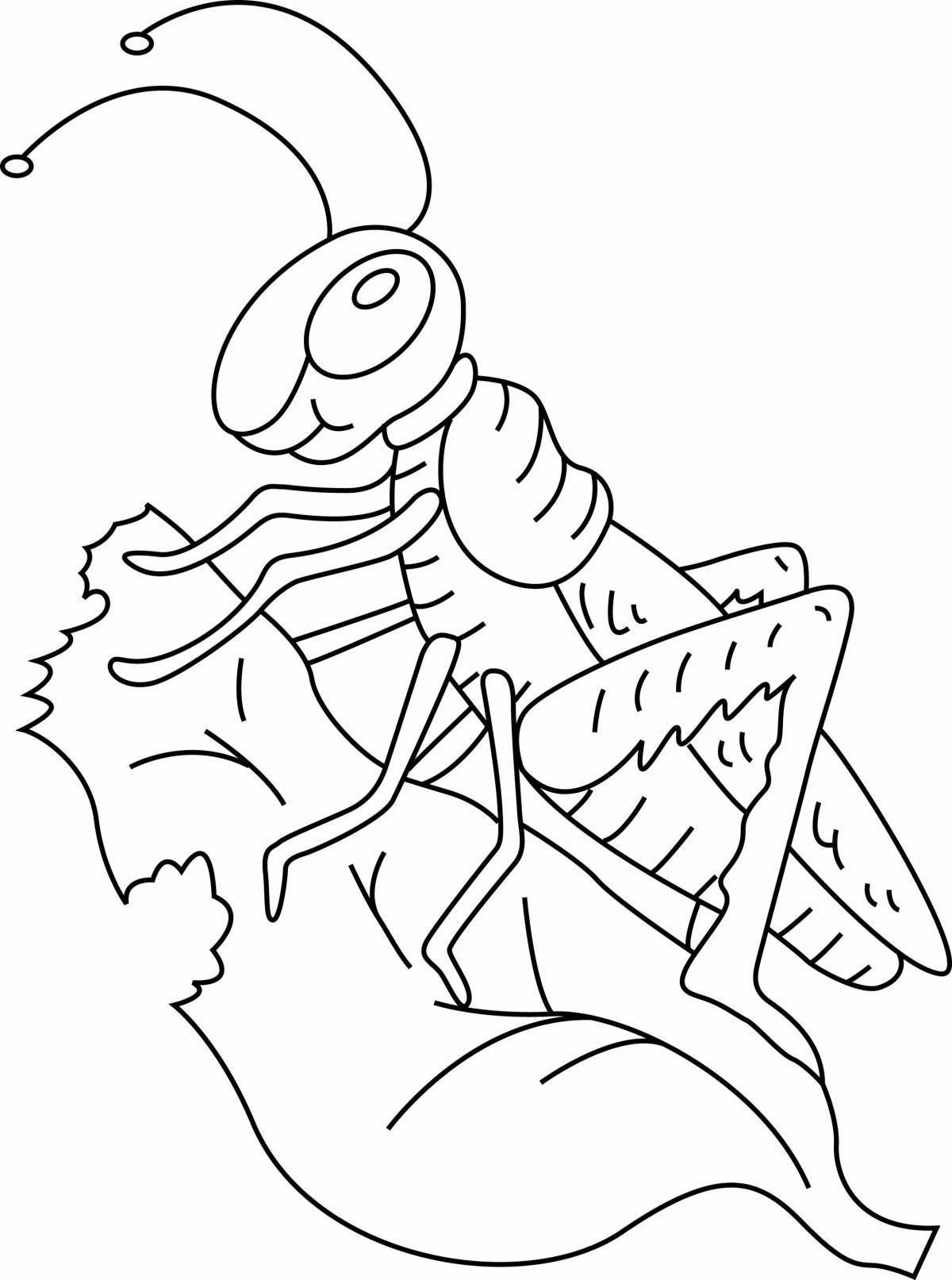 Live cricket coloring page