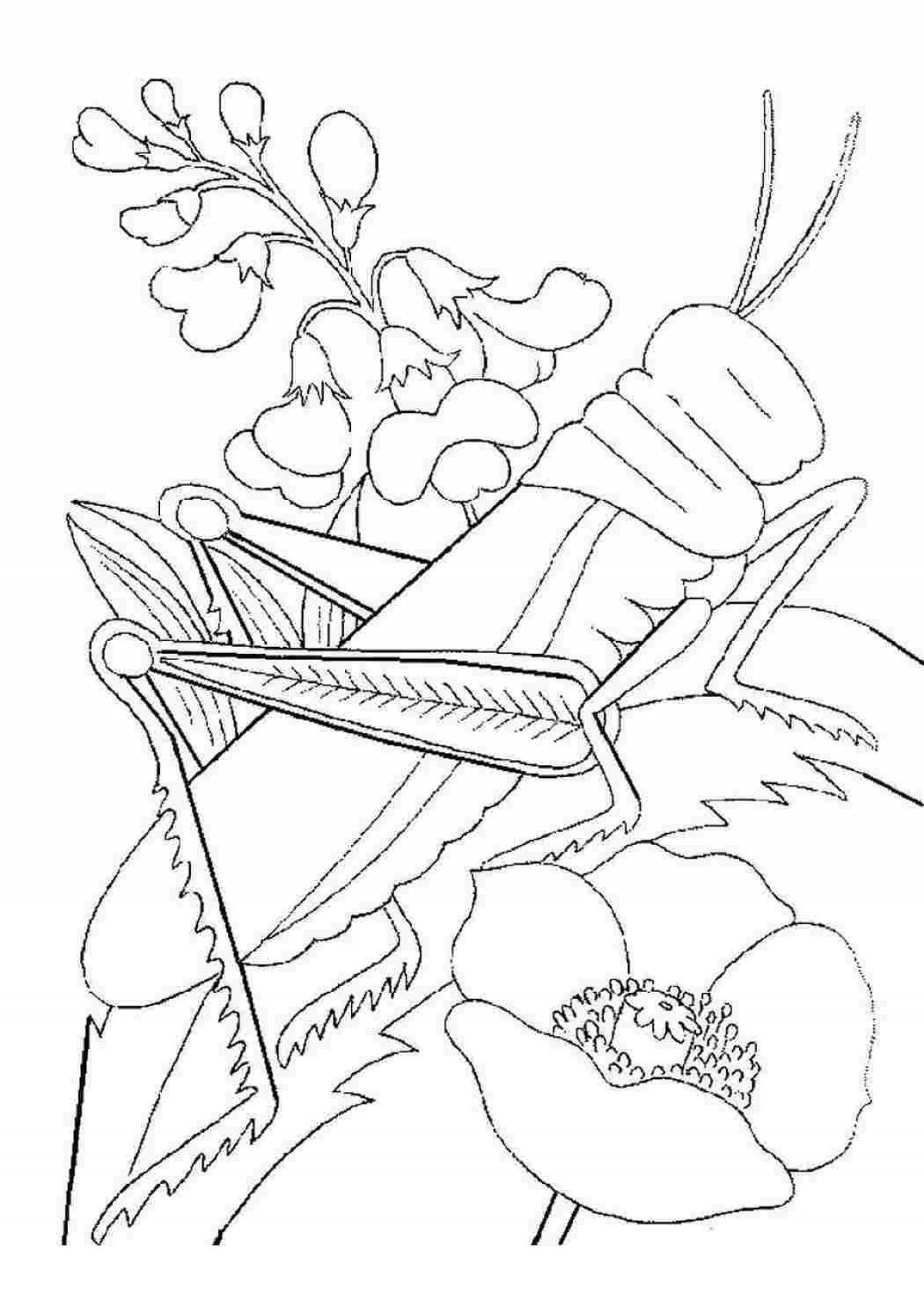 Fabulous cricket coloring page