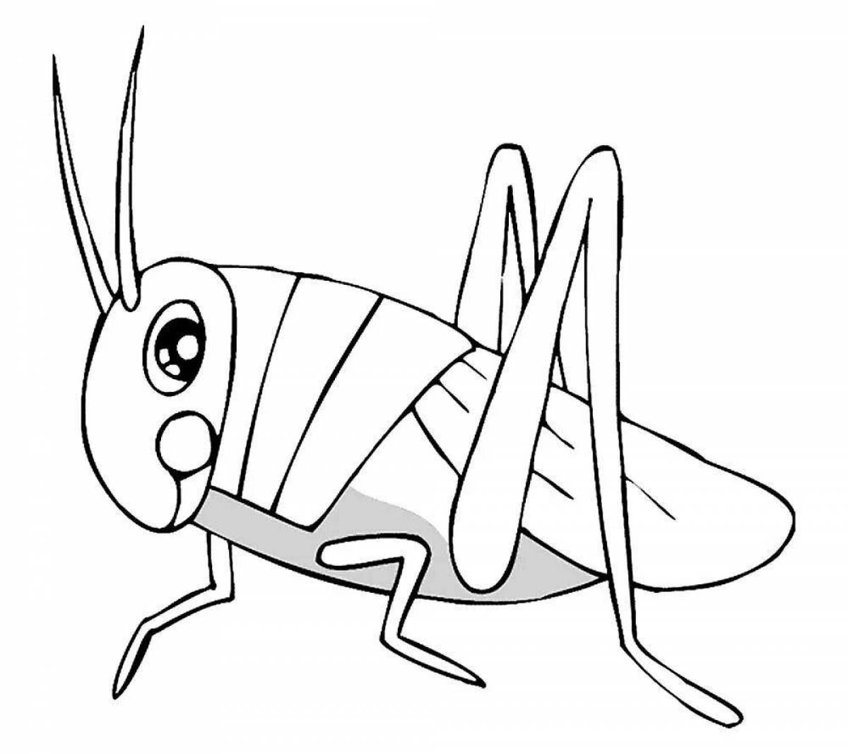 Colorful cricket coloring page