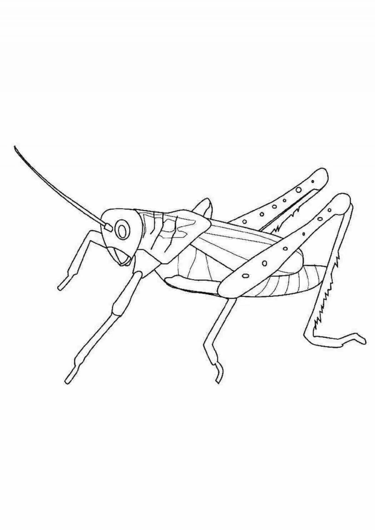 Color cricket coloring page