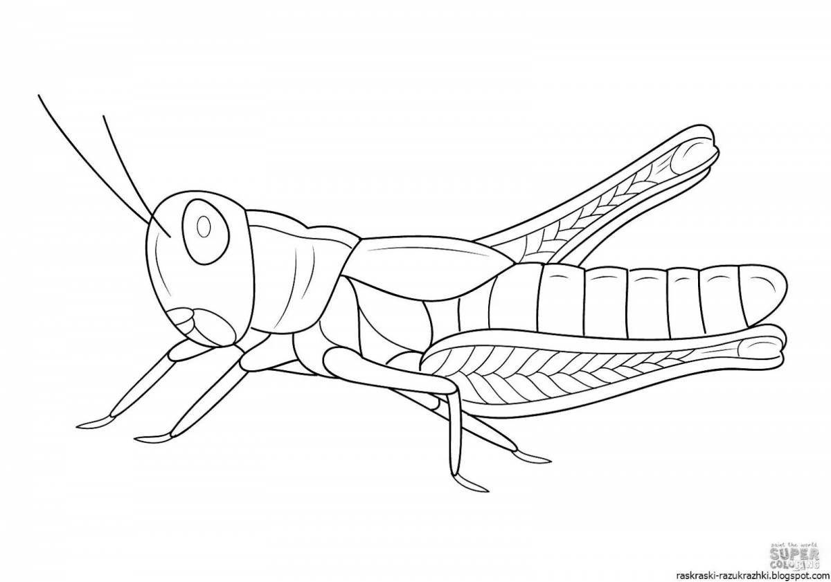 Color-blast cricket coloring page