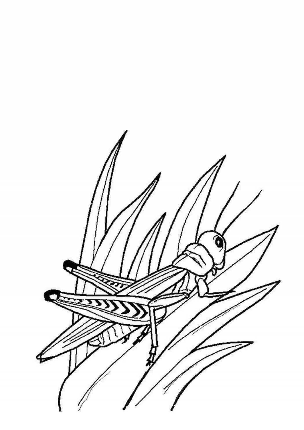 Cricket coloring page color-frenzy