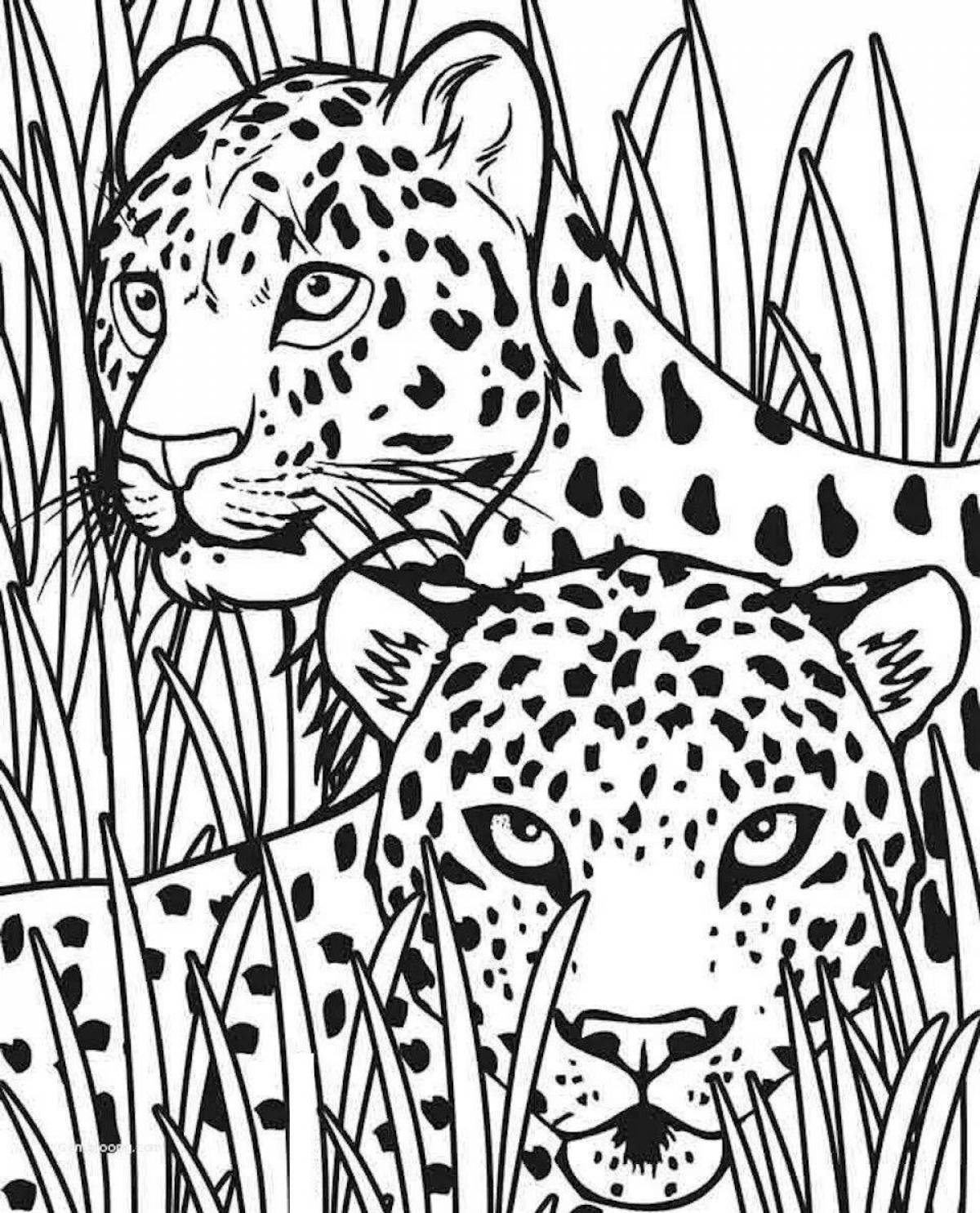 Coloring page graceful leopard