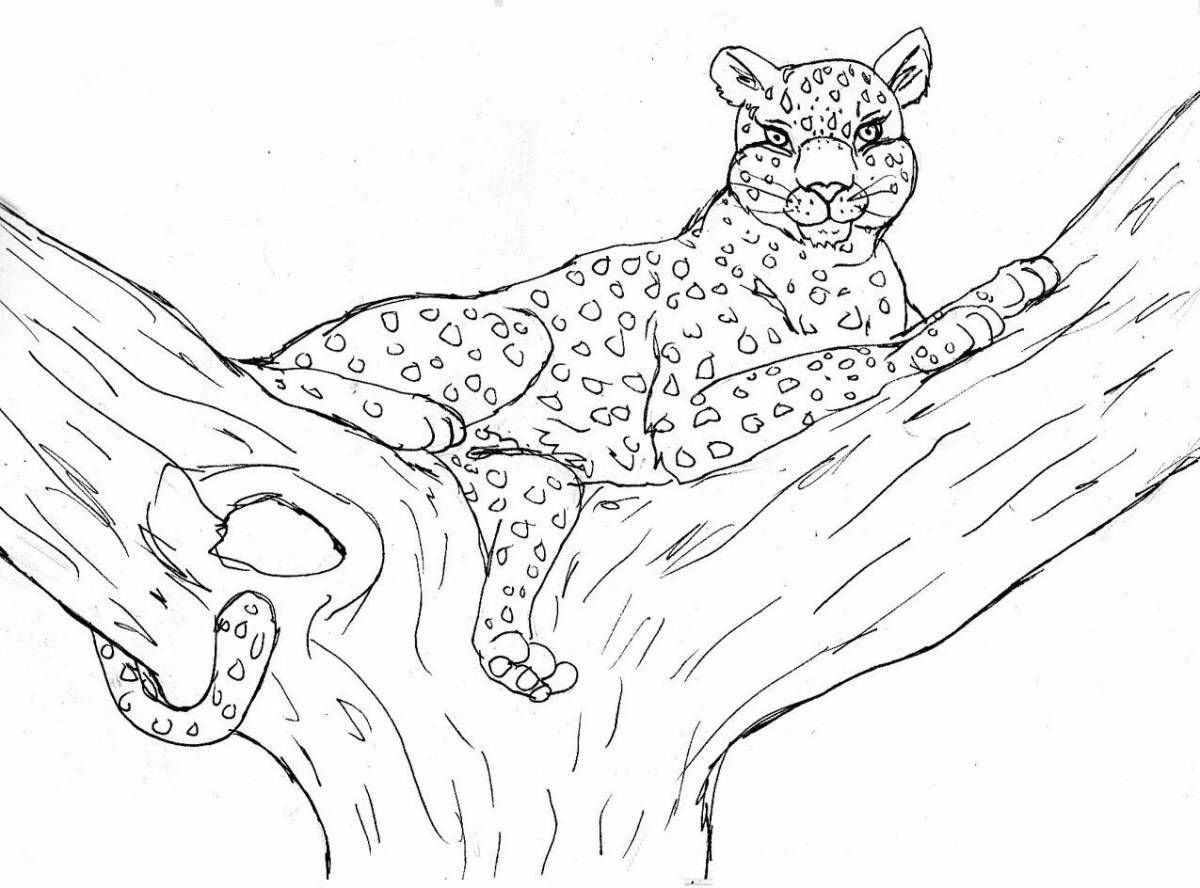 Раскраска «великолепный леопард»