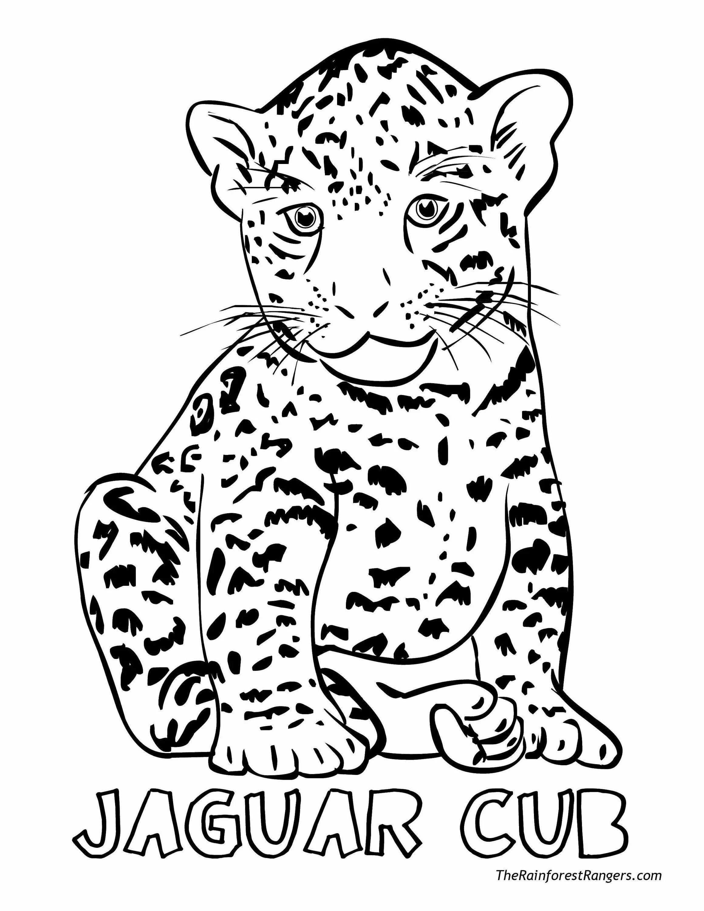 Leopard #1
