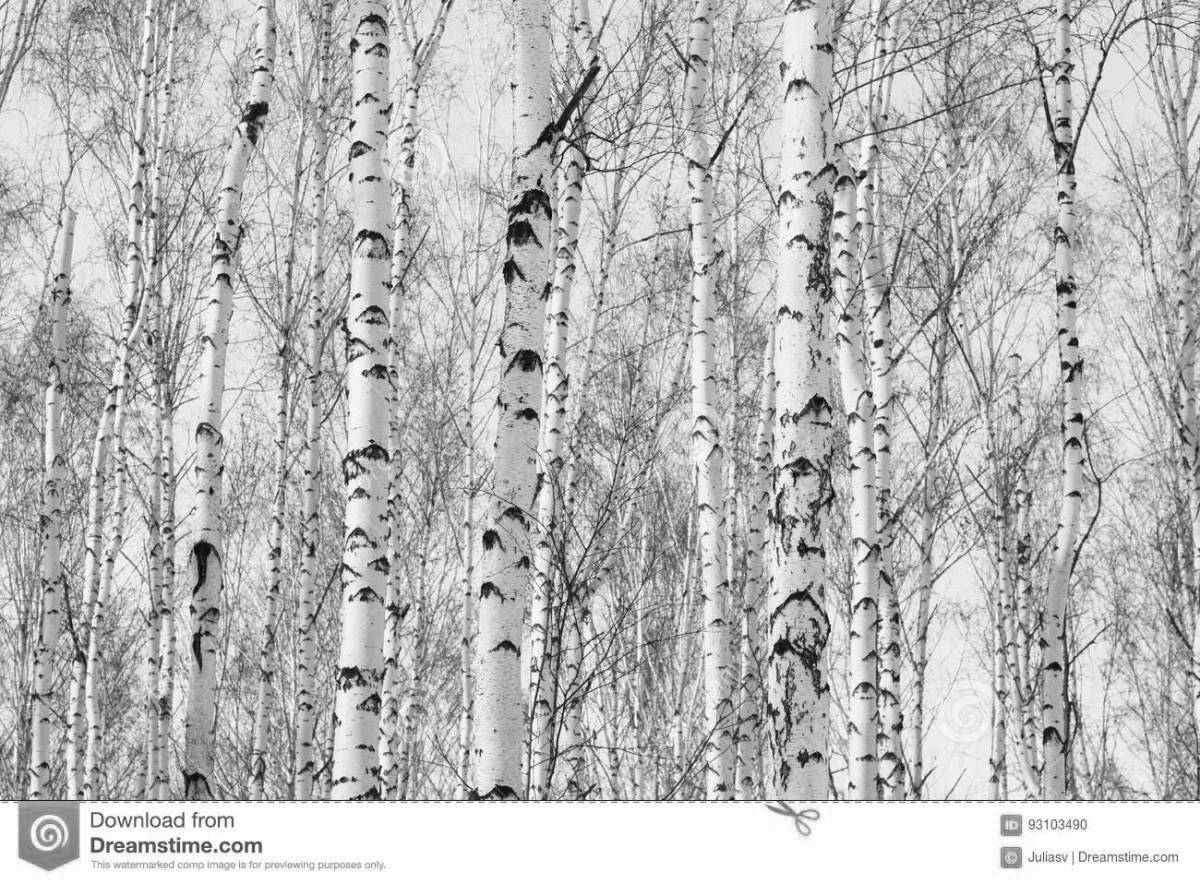 Magic coloring grove