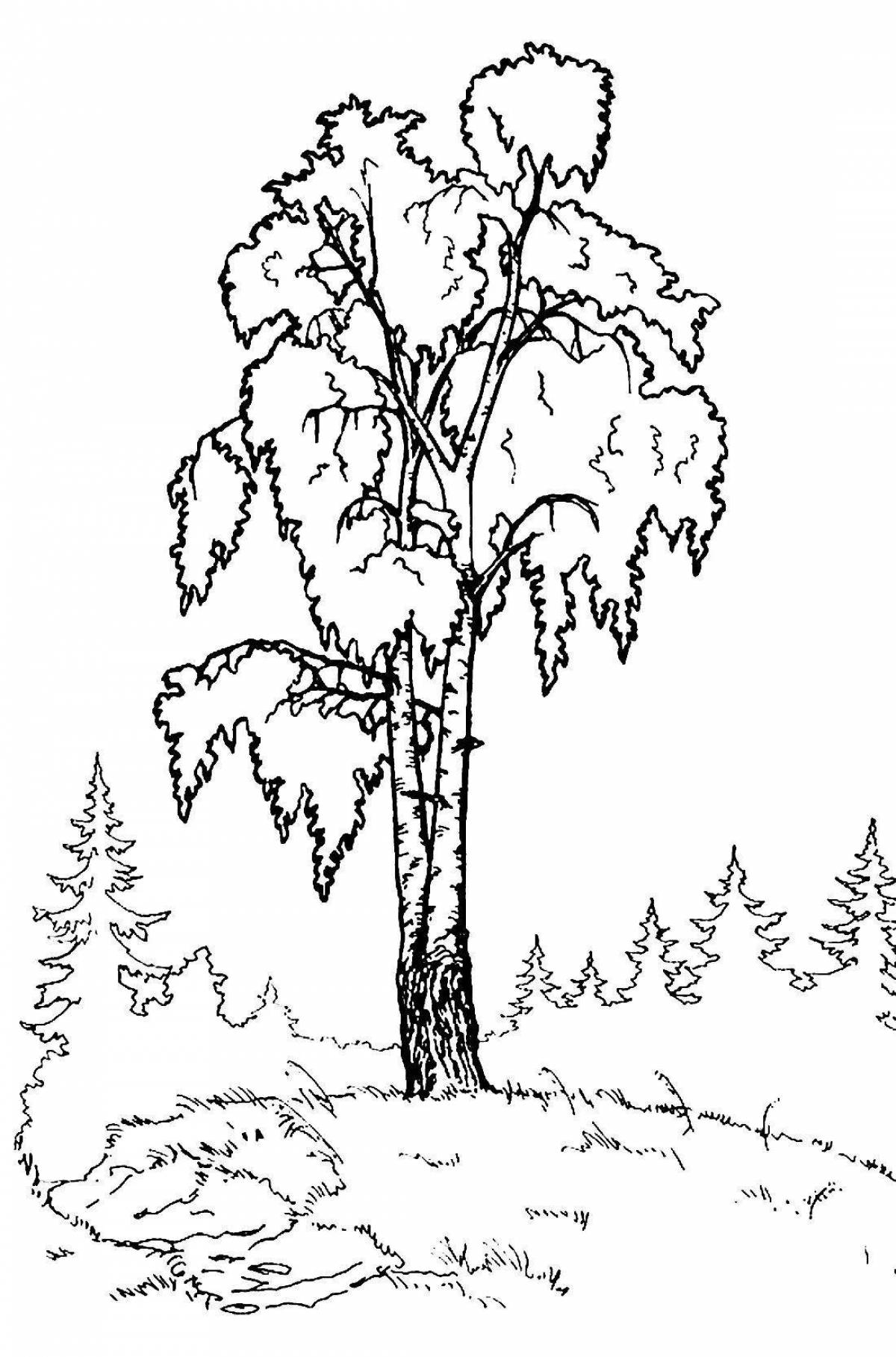 Blissful coloring page grove
