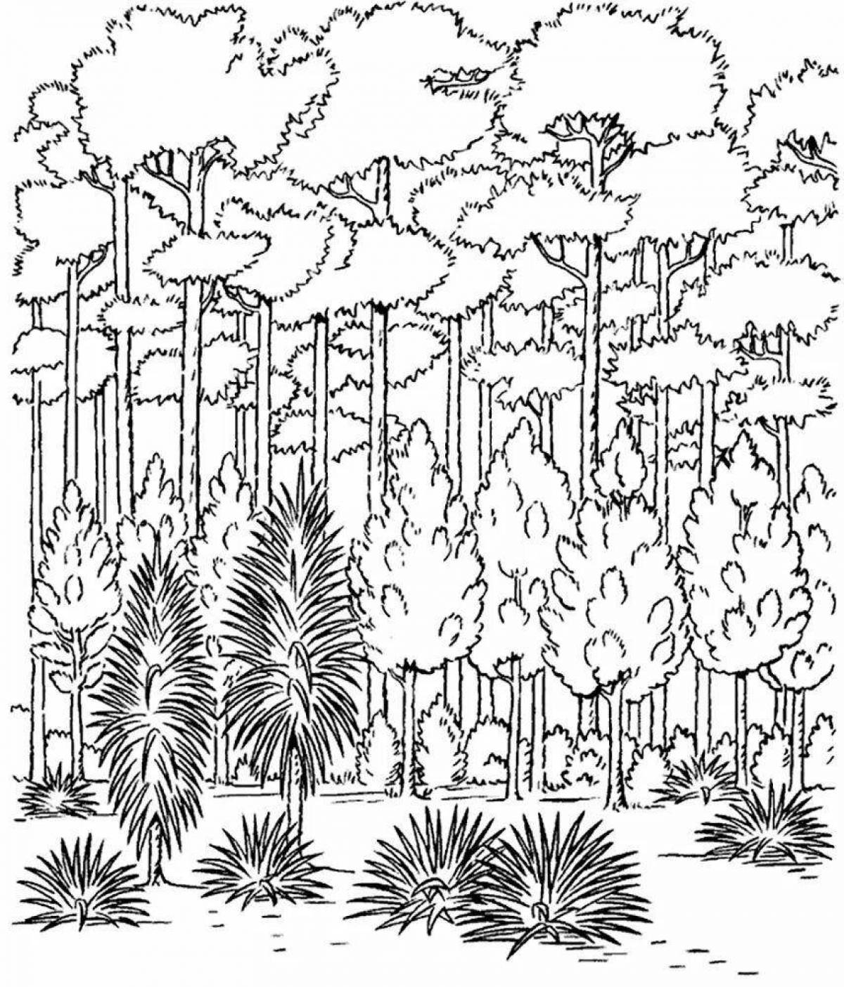 Awesome coloring page grove