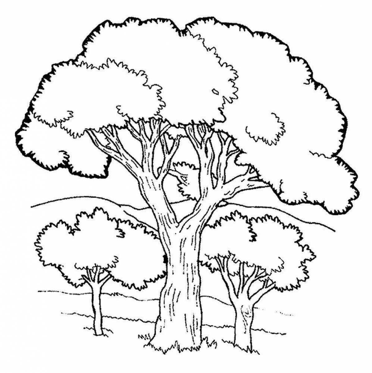 Blooming coloring page grove