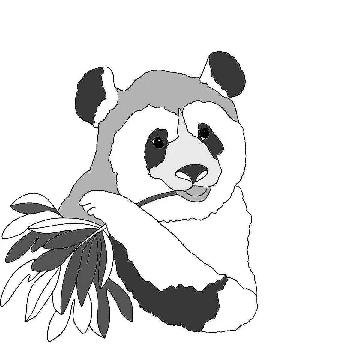 Большая раскраска панди