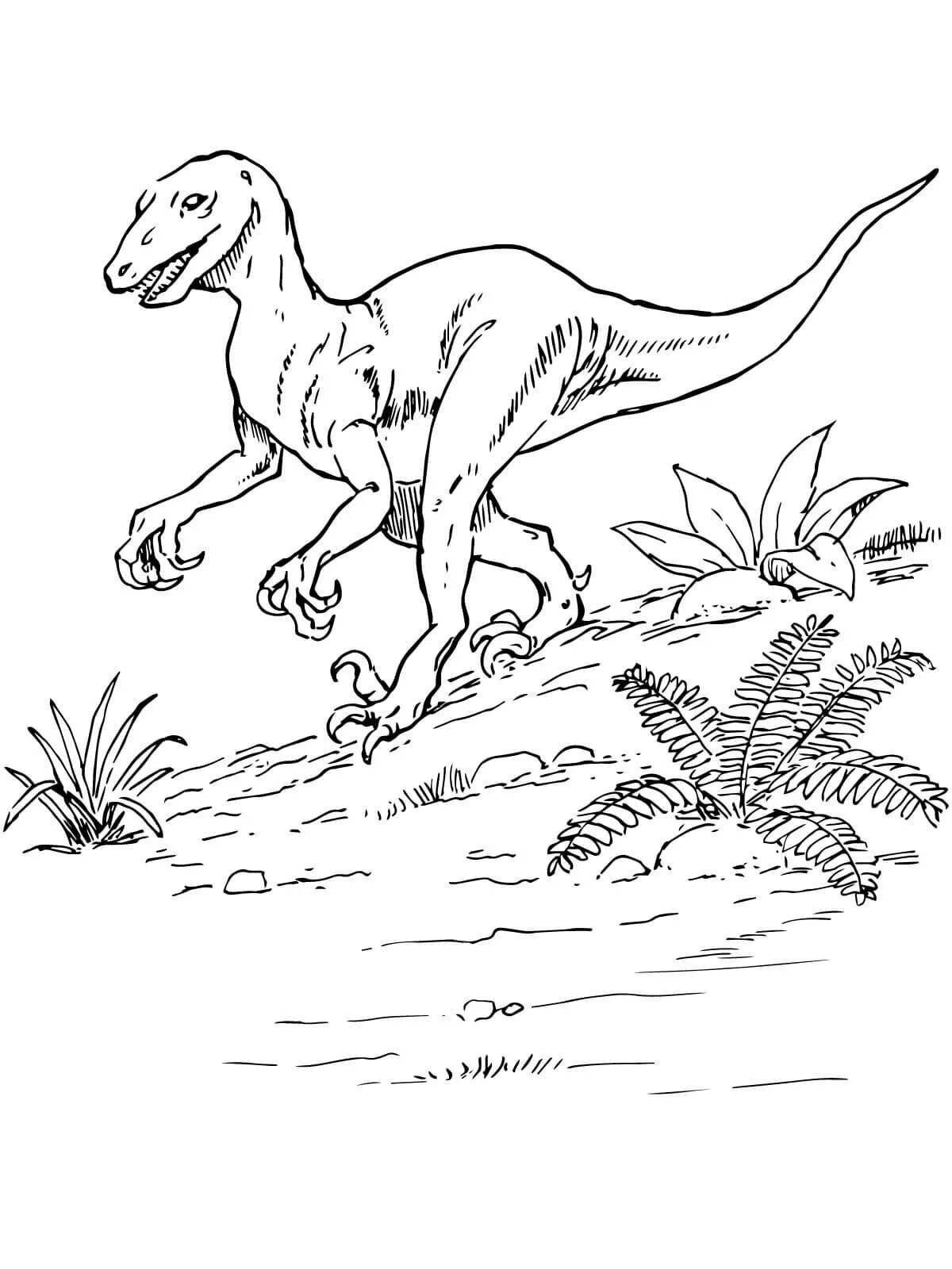 Coloring page delightful gallimimus