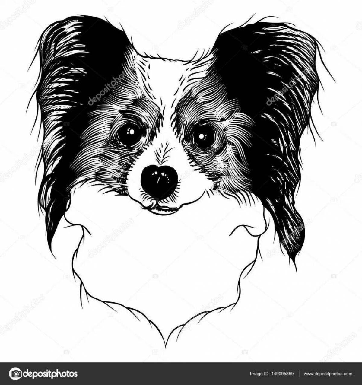 Amazing papillon coloring page