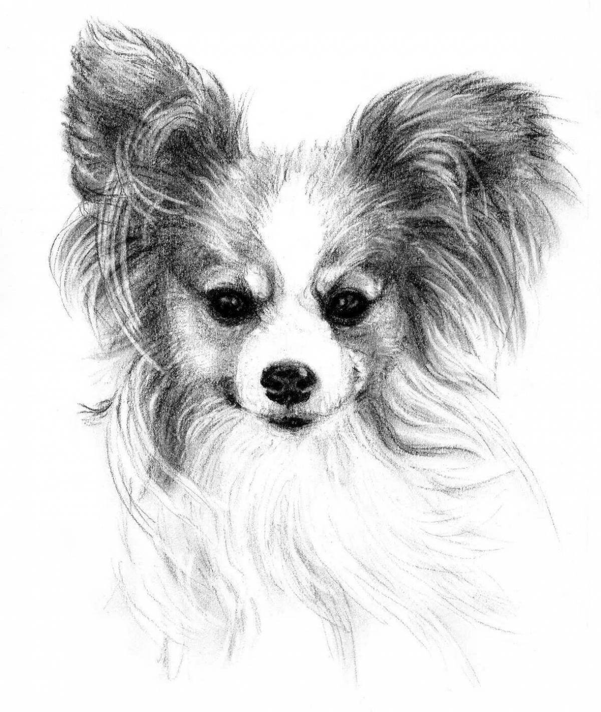 Coloring page nice papillon