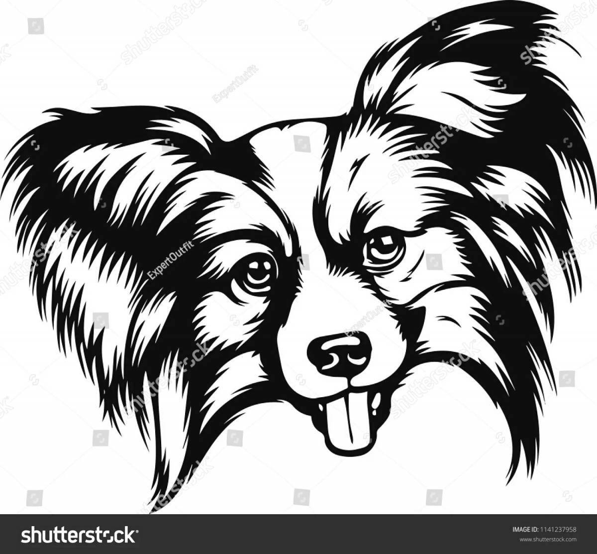 Coloring page sweet papillon