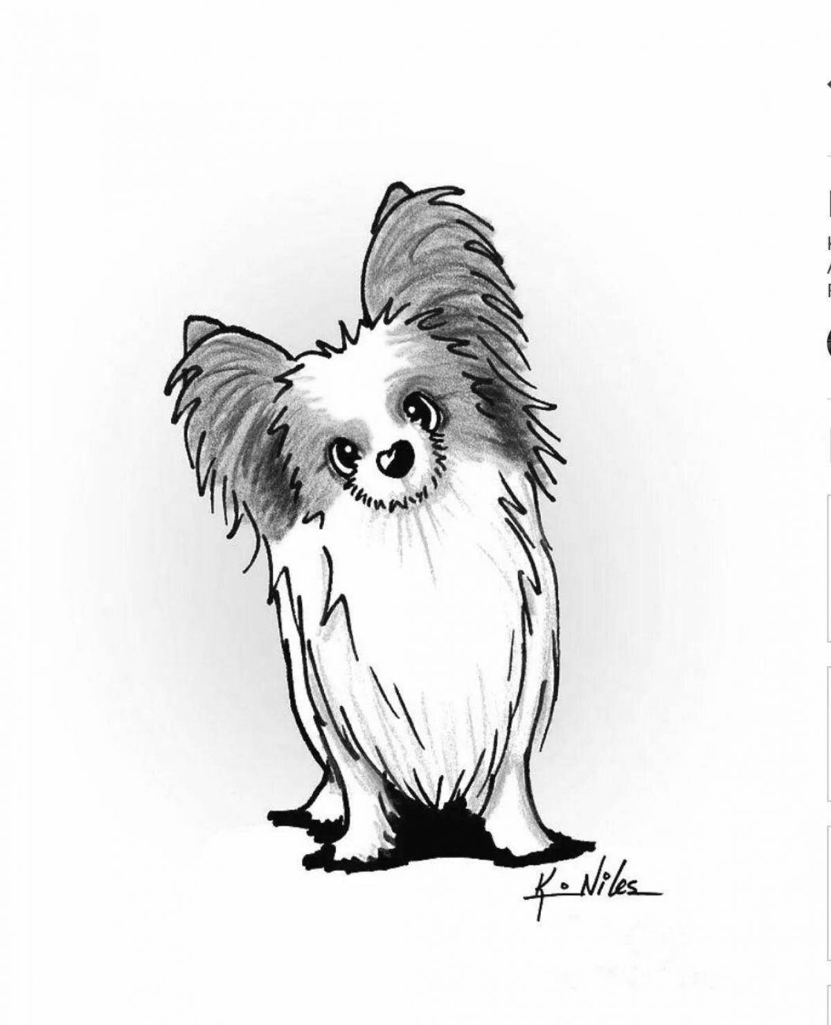Charming papillon coloring page