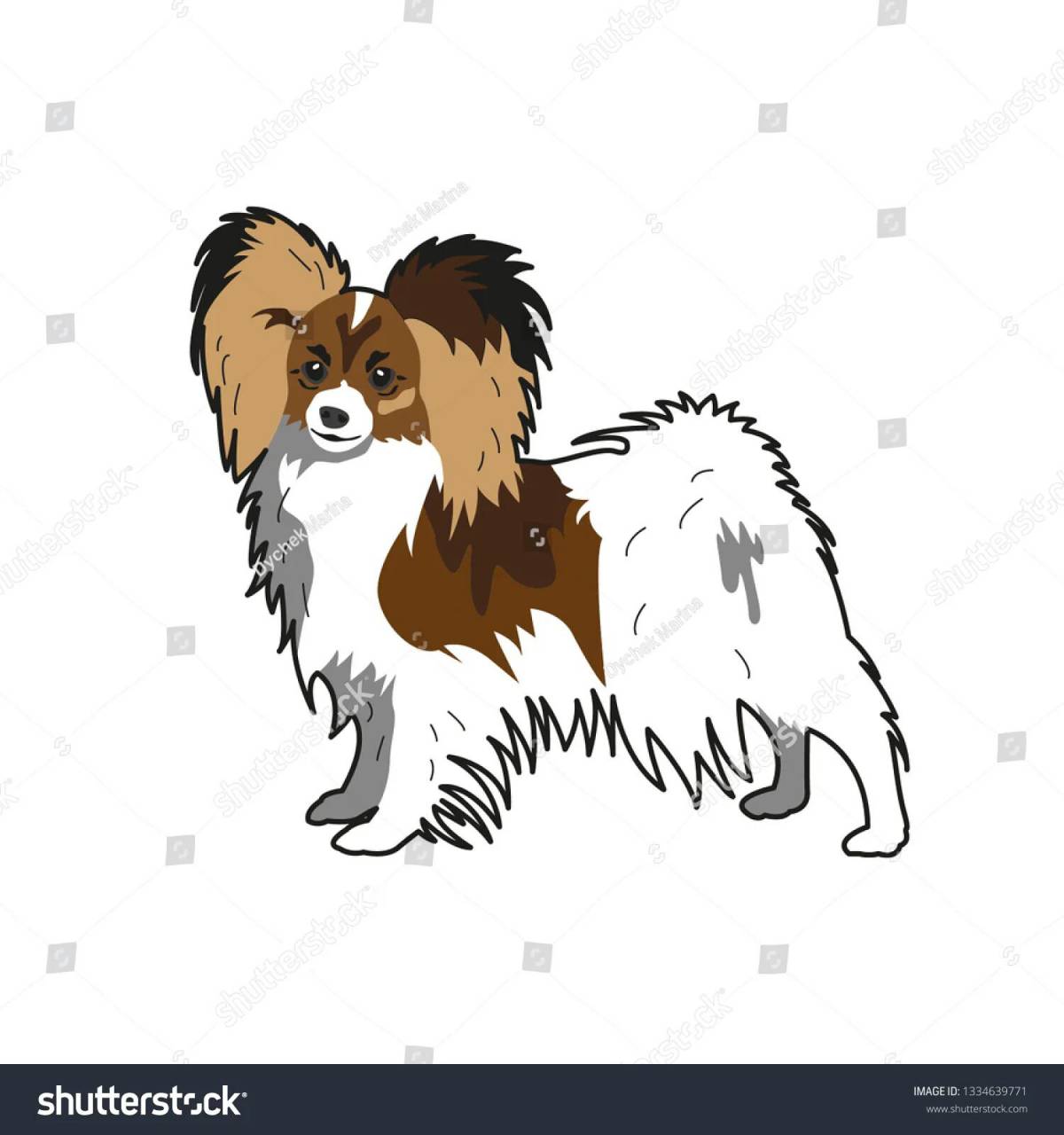 Impressive papillon coloring page