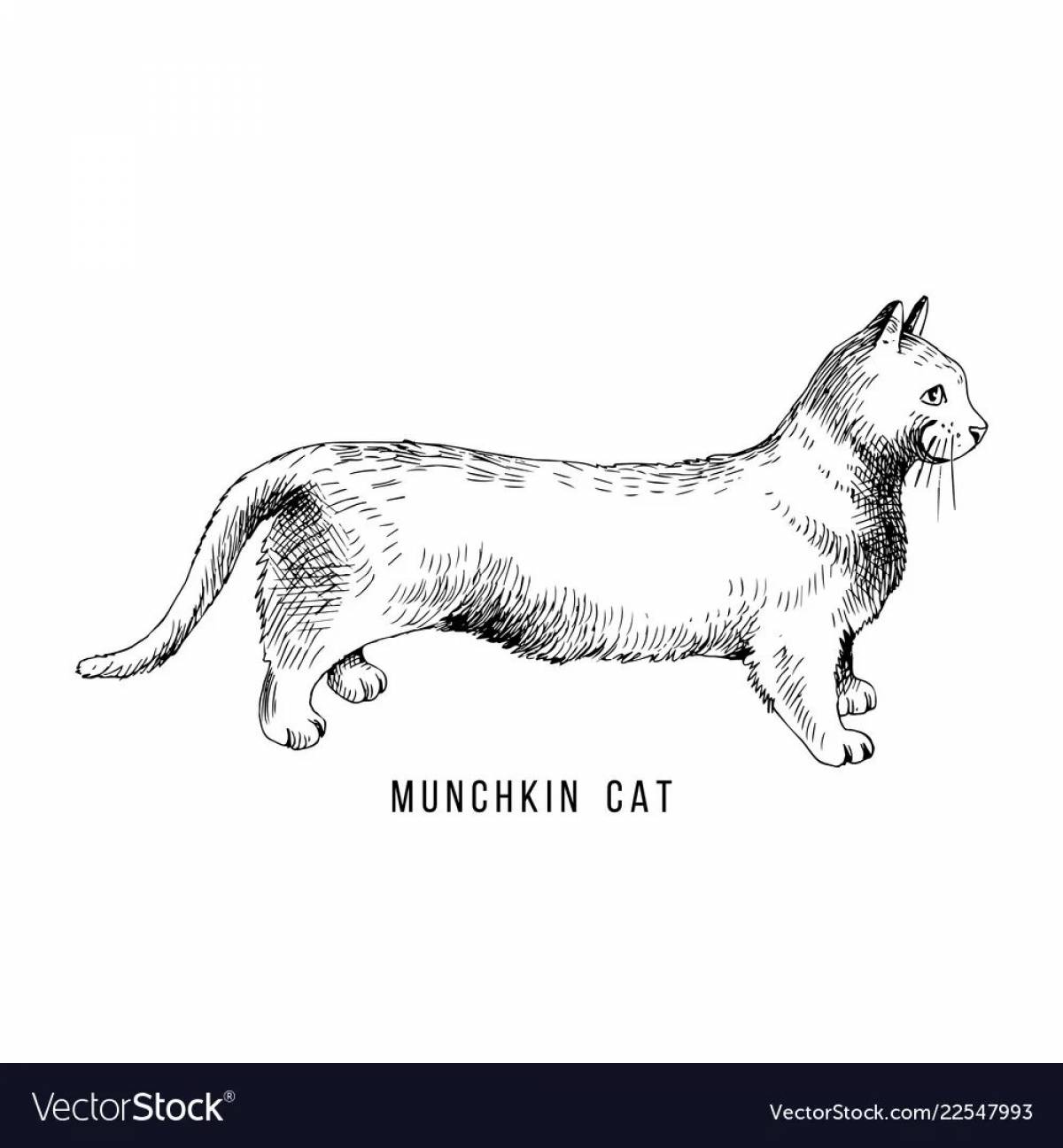 Exquisite munchkin coloring book