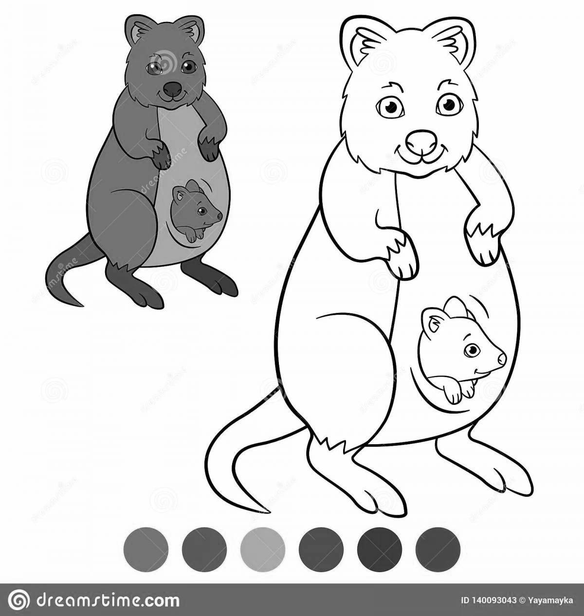 Colorful quokka coloring page