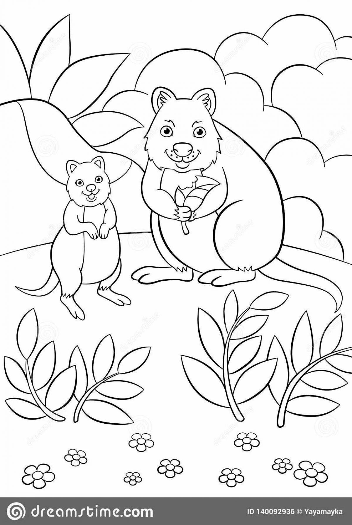 Blissful quokka coloring book