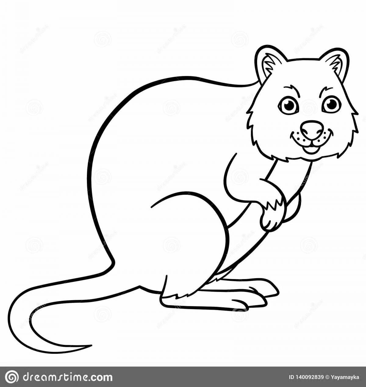 Great quokka coloring book