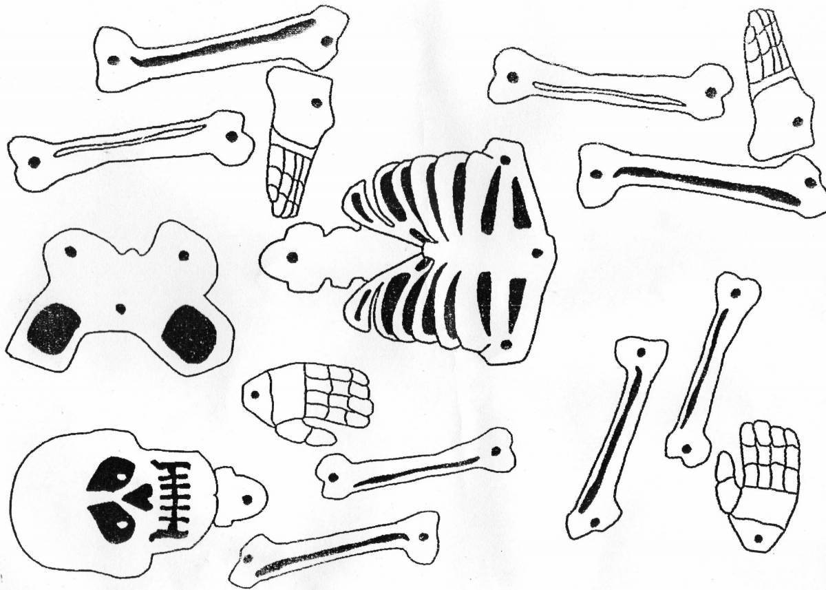 Bright coloring pages with bones