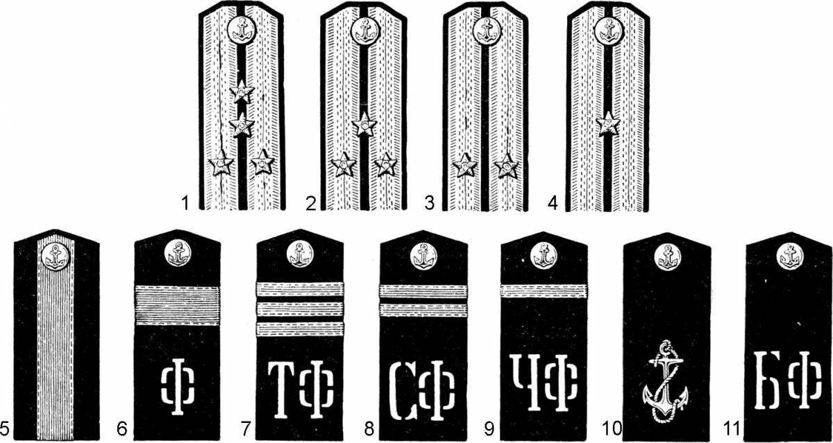 Coloring page fine epaulettes