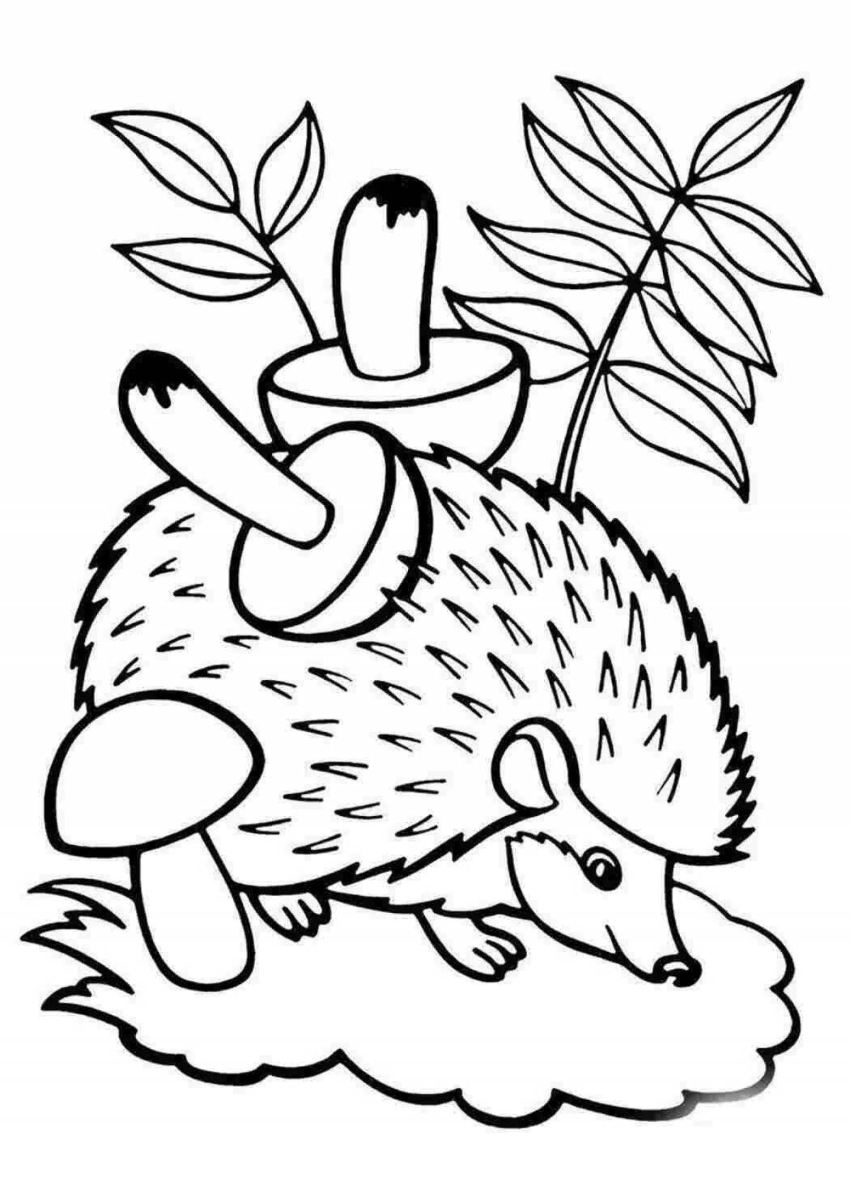 Coloring book funny hedgehog
