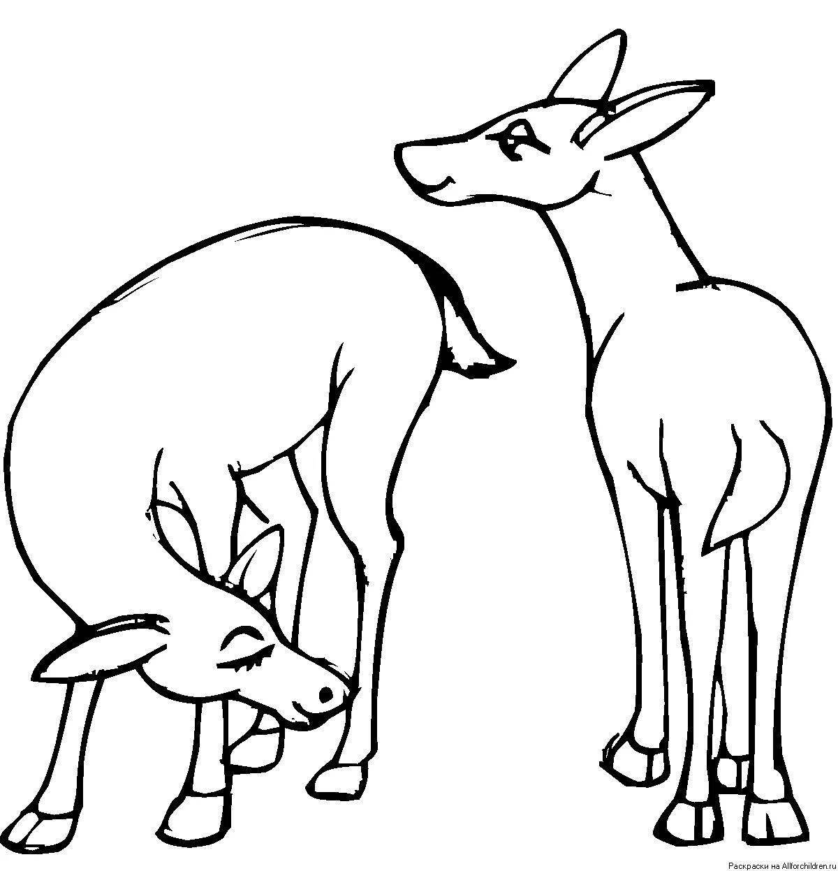 Doe fluffy coloring book