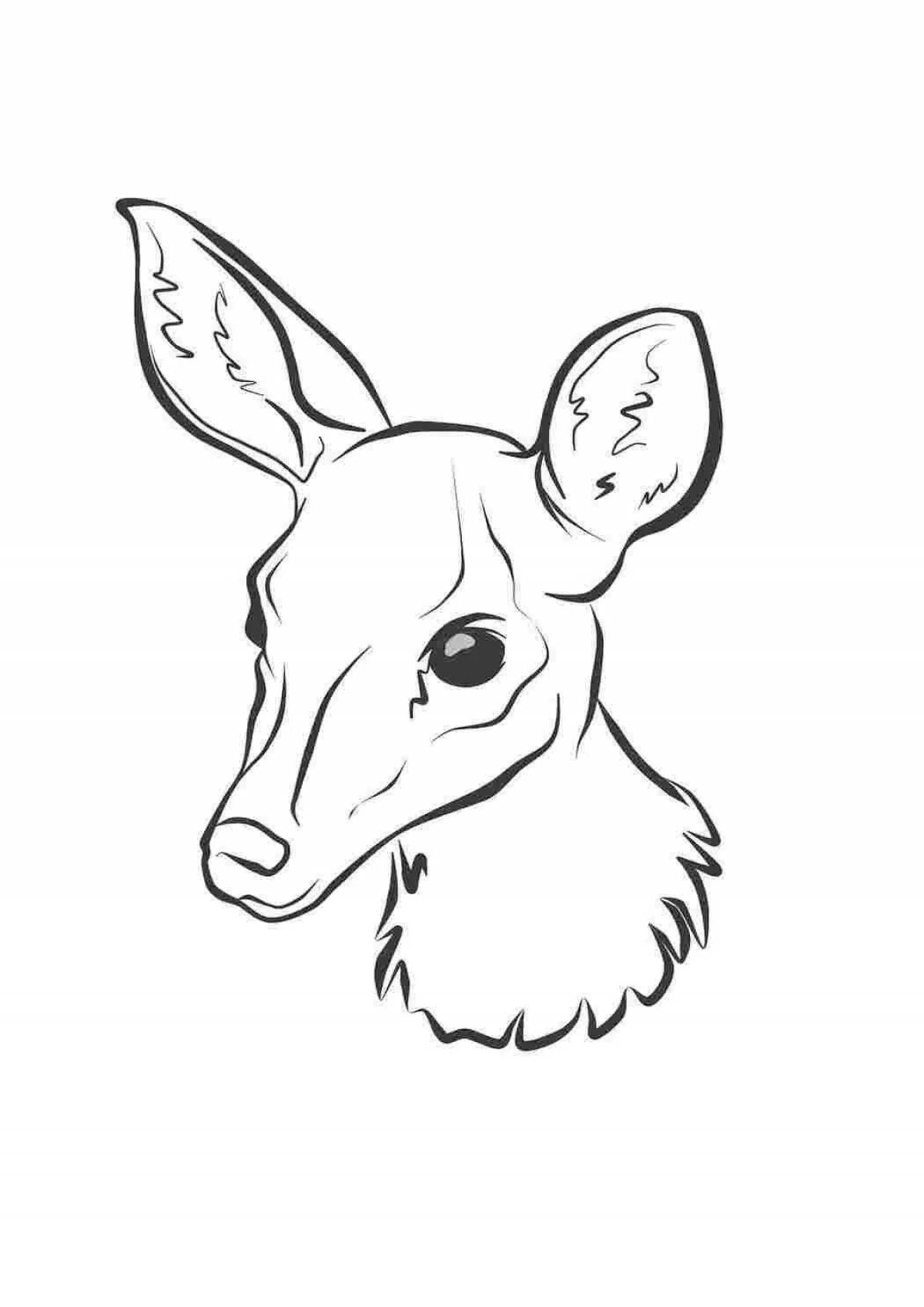 Charming doe coloring book