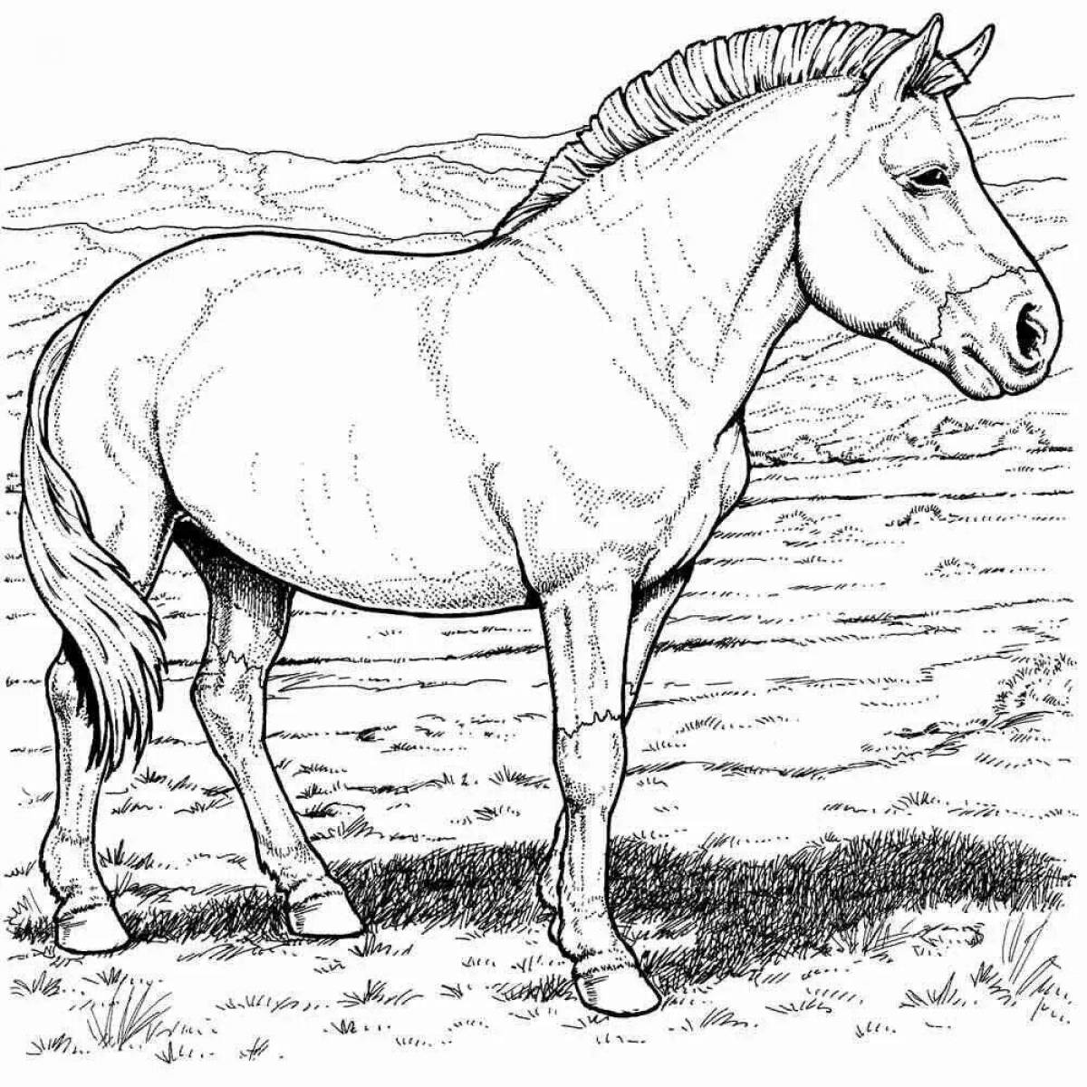 Adorable horse coloring page