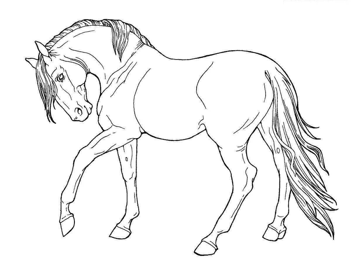 Living horse coloring page