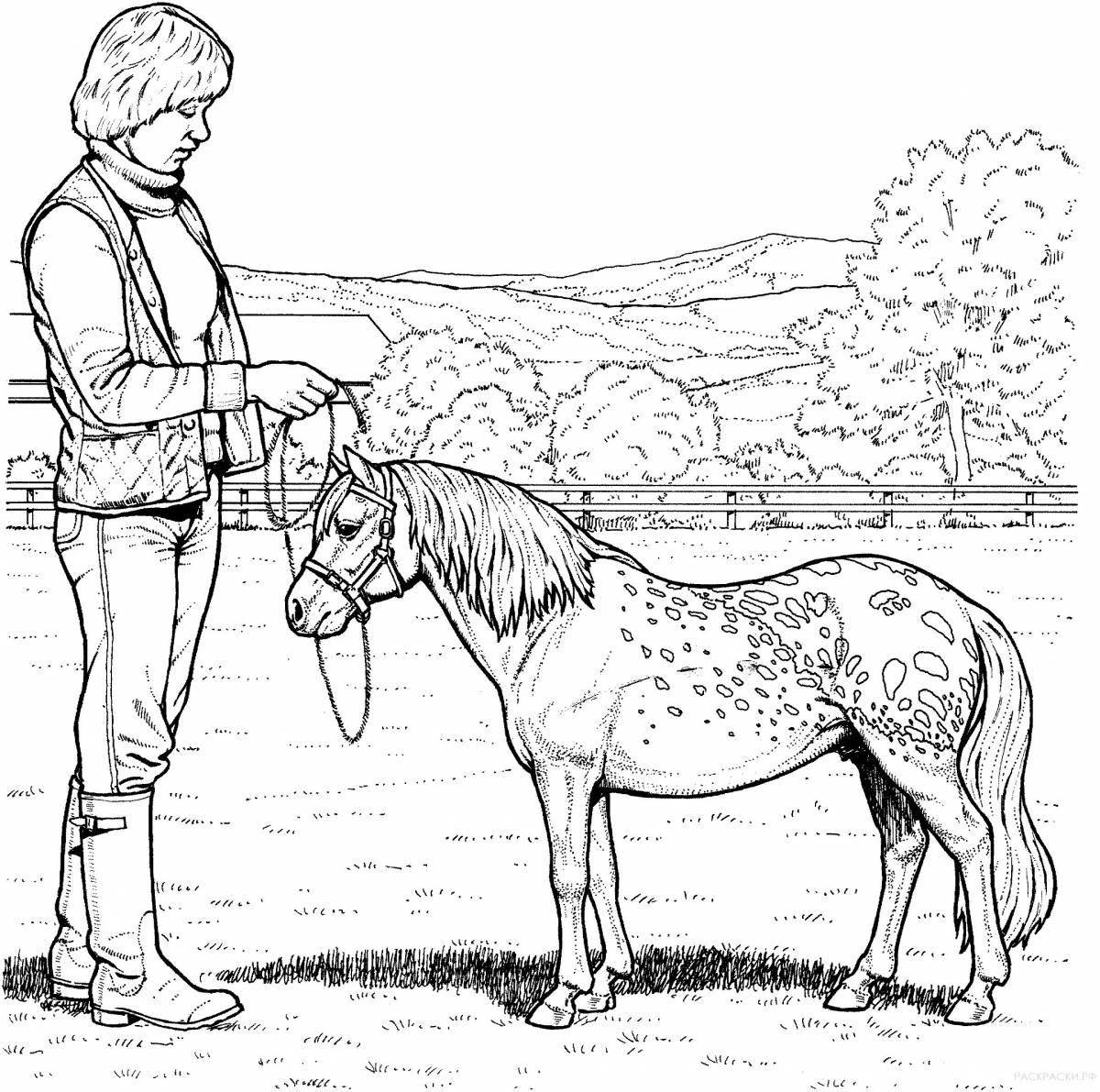 Spray horse coloring page