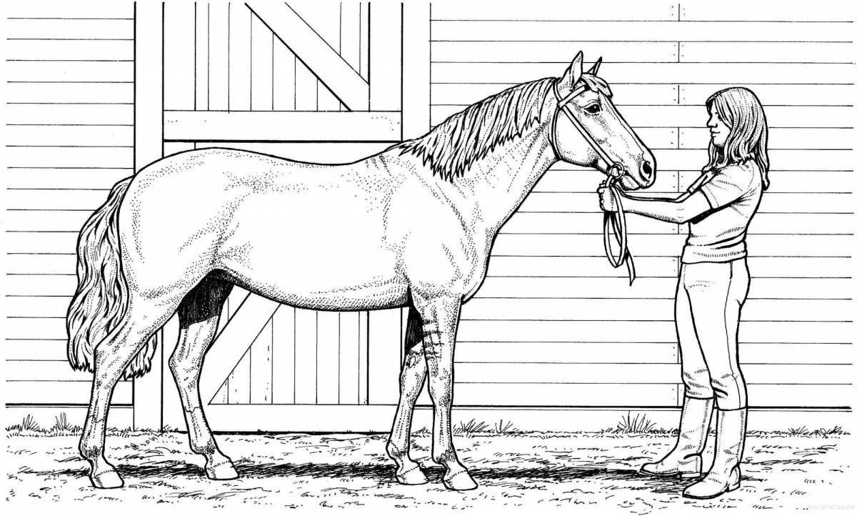 Colored horses coloring book