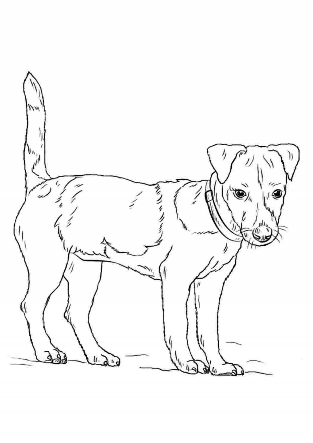 Animated cur coloring page