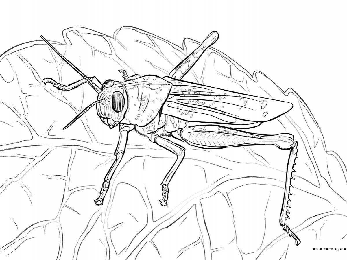 Attractive locust coloring page