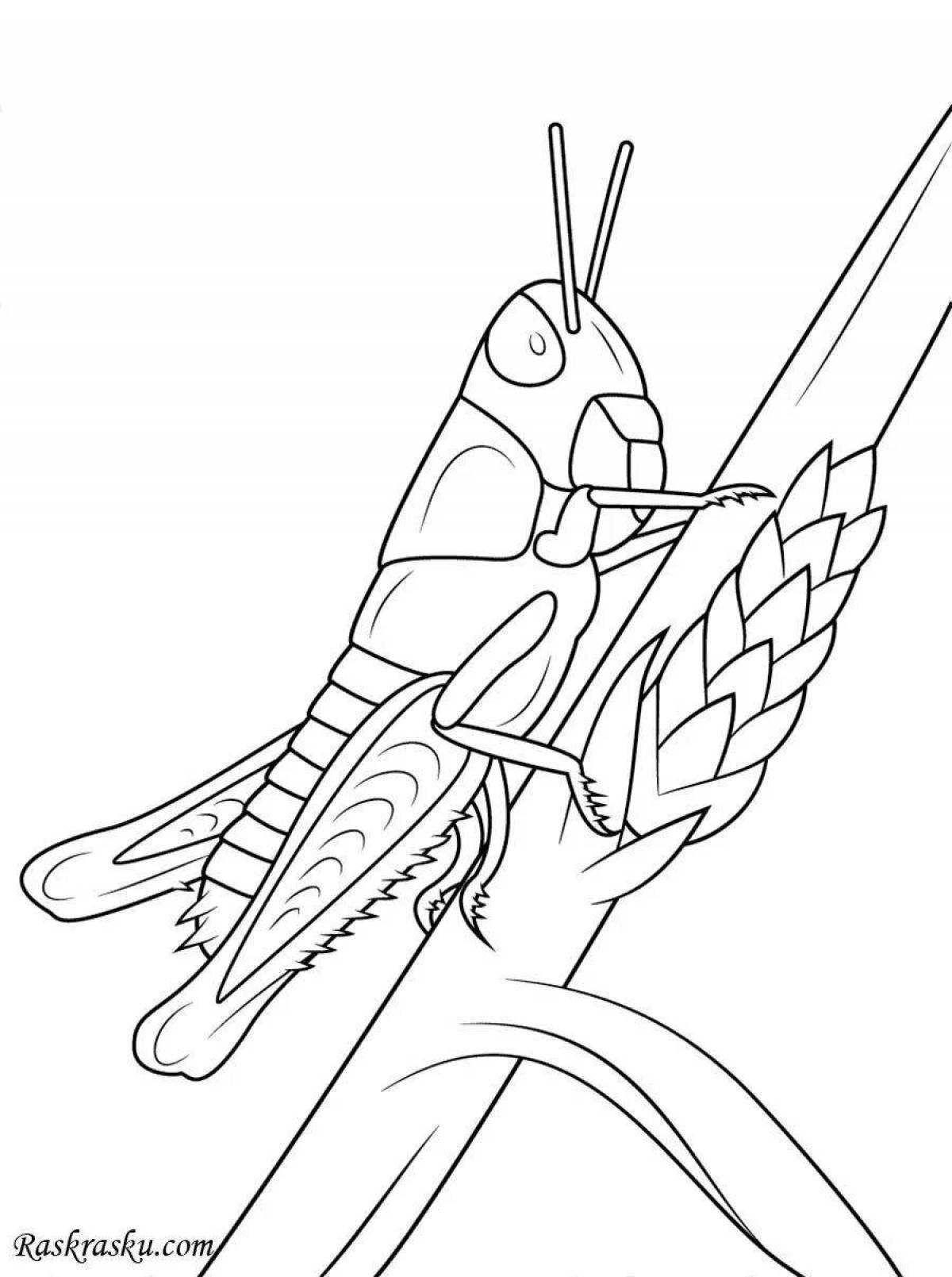 Adorable locust coloring page