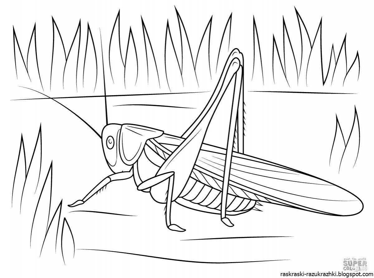 Coloring page charming locust