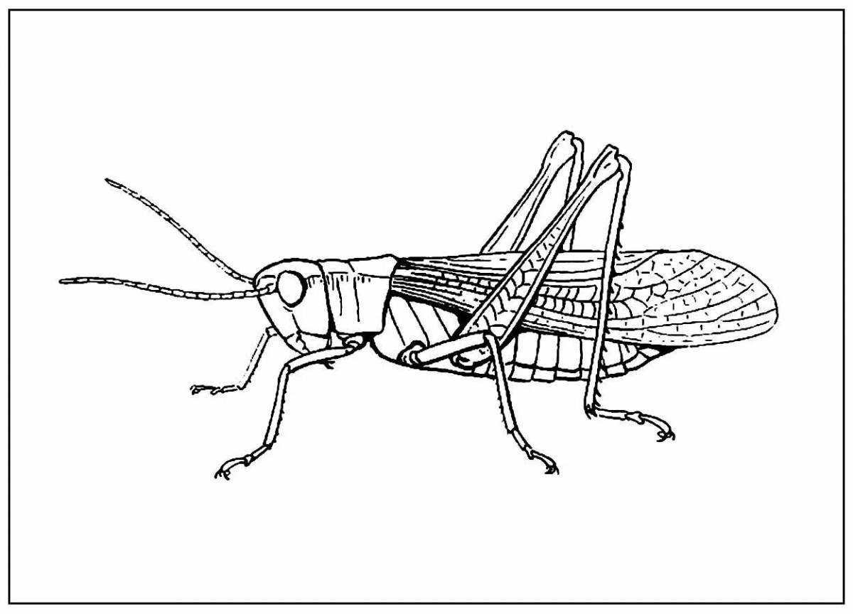 Amazing locust coloring page