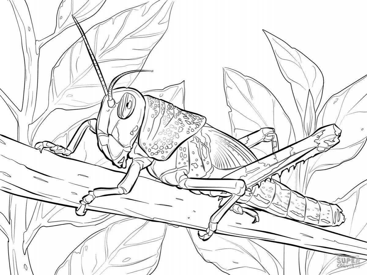 Dynamic Locust coloring page