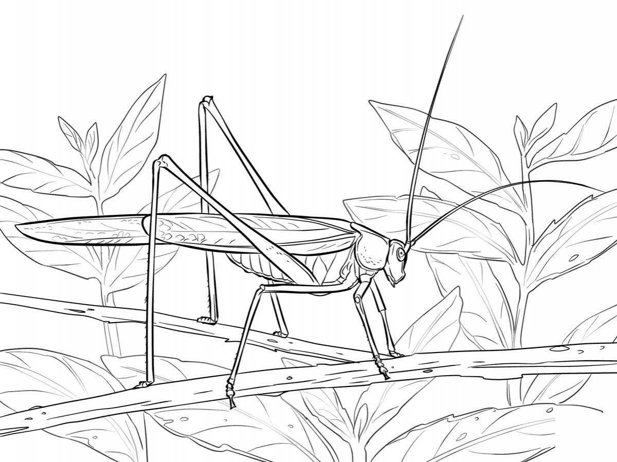 Rampant locust coloring page