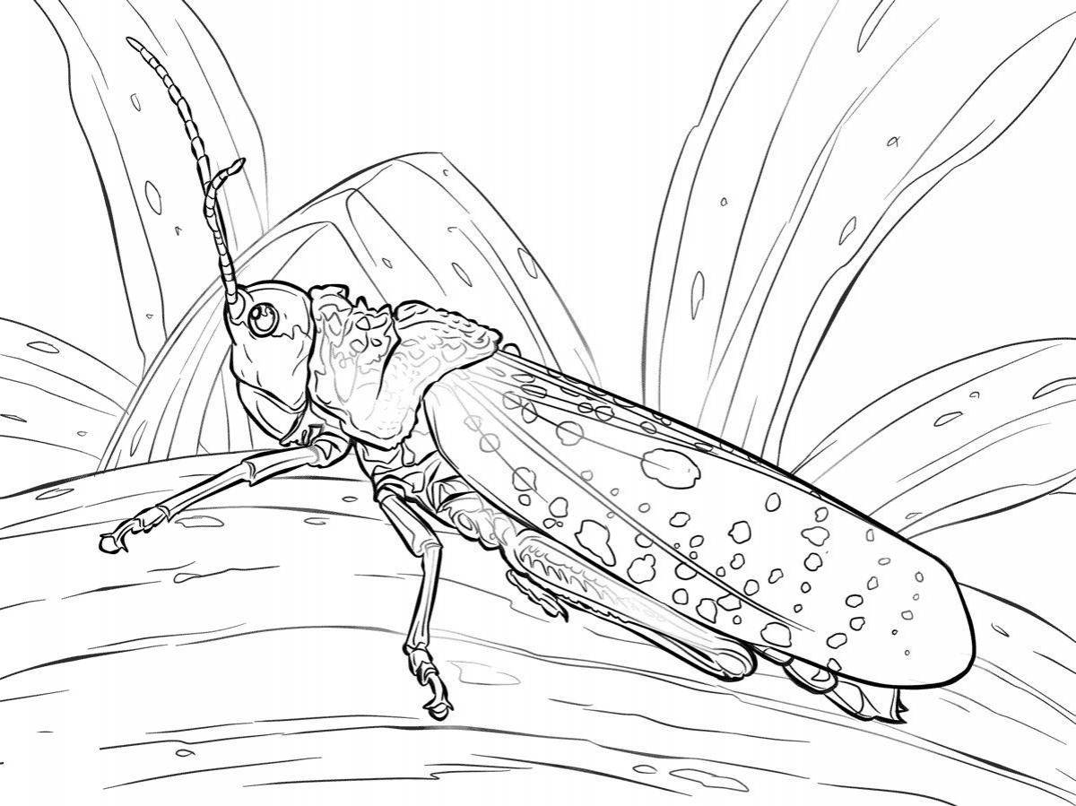 Funny locust coloring page