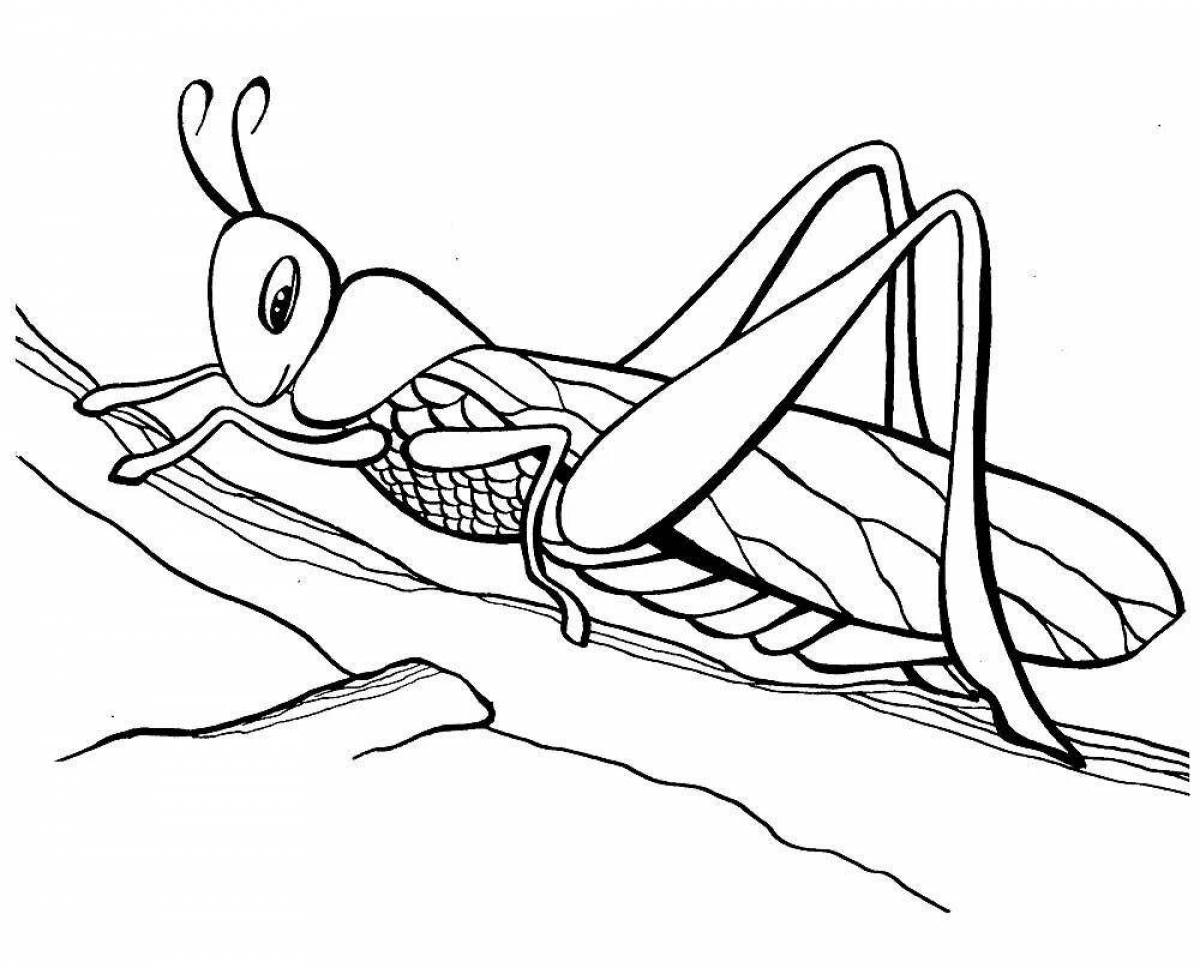 Humorous locust coloring book