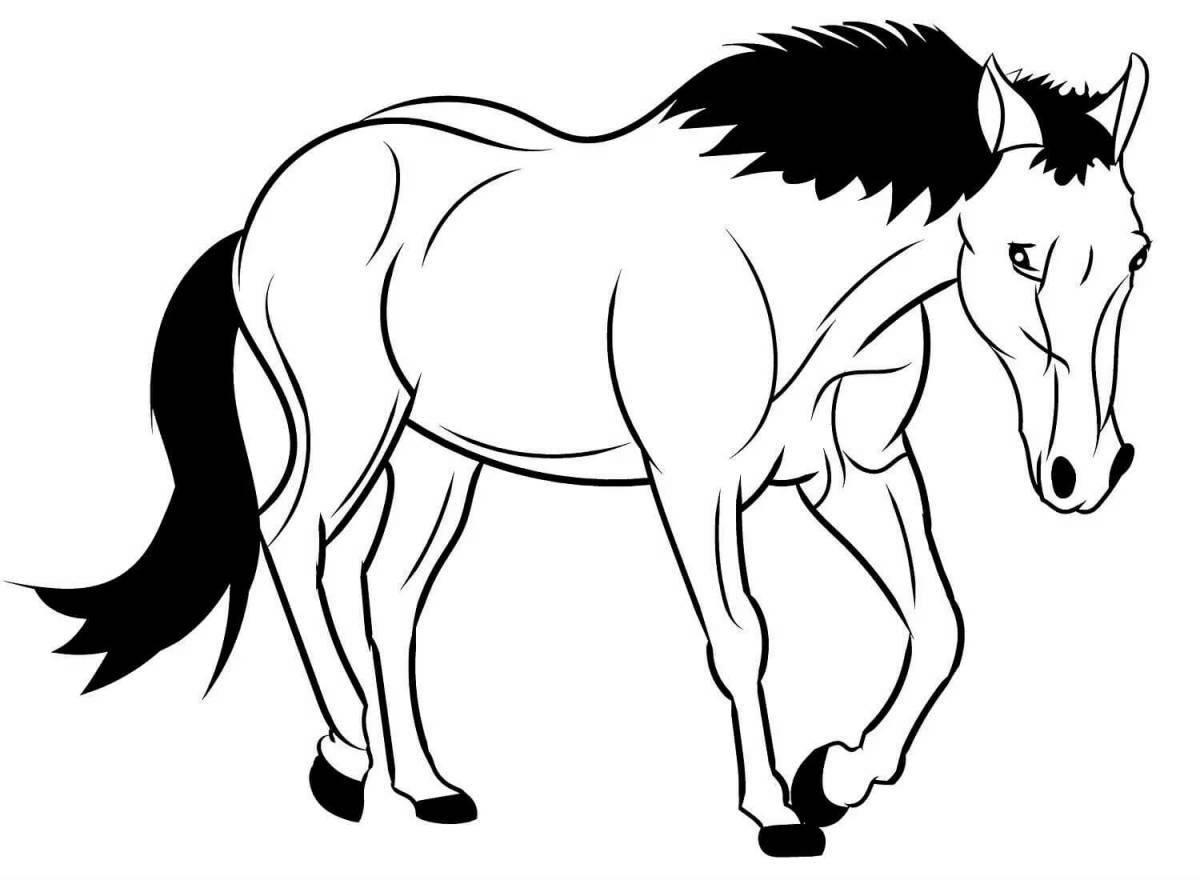 Great horse coloring book