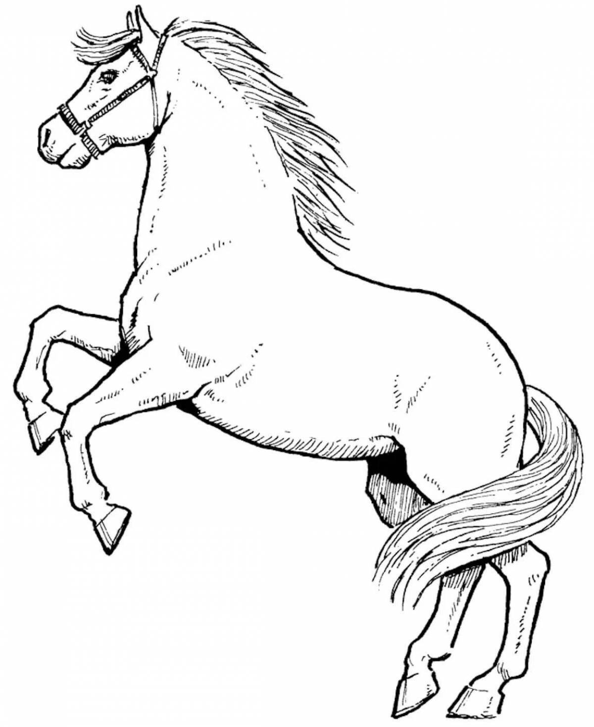 Nimble coloring horse