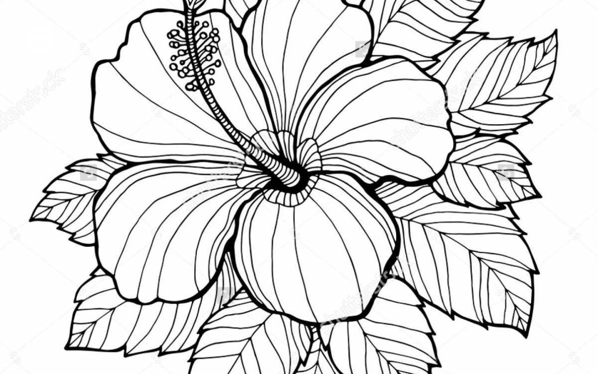 Раскраска Раскраска блестящий бальзам