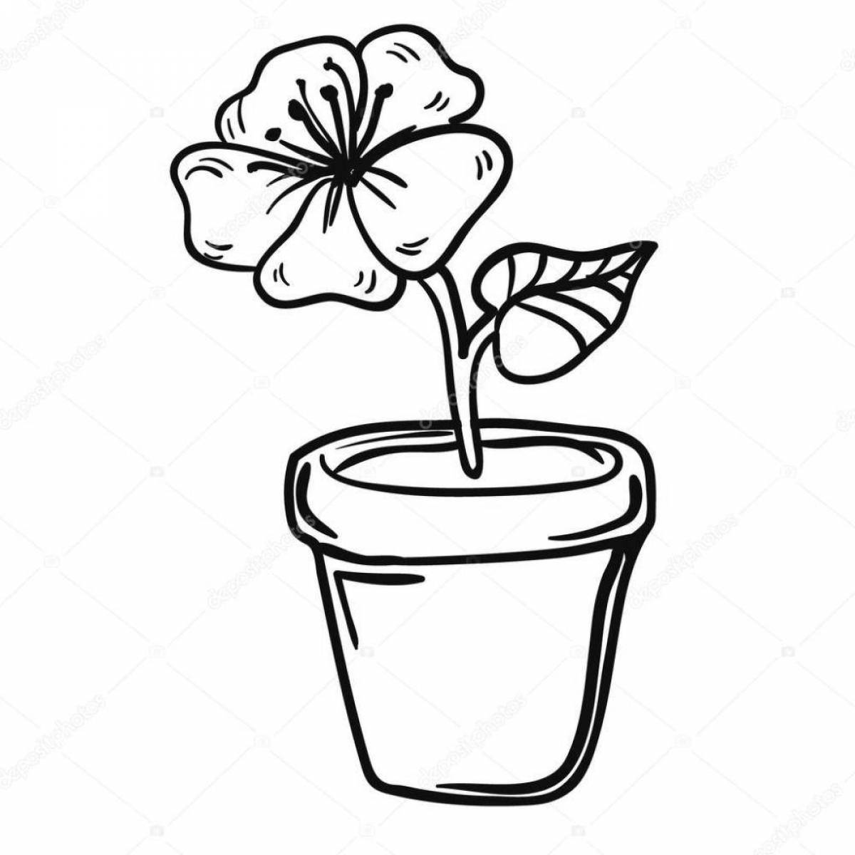 Раскраска Раскраска сказочный бальзам