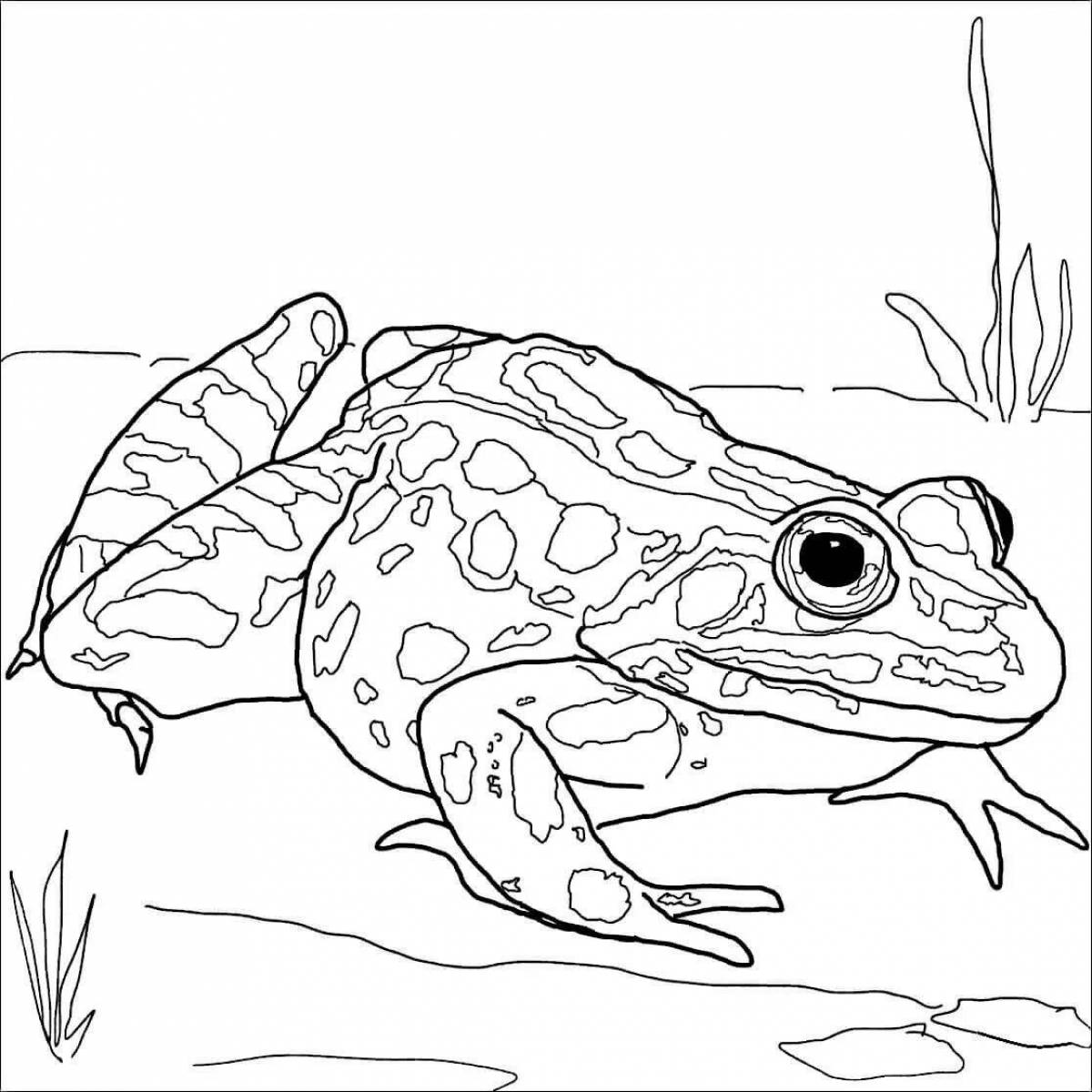 Светящаяся раскраска лягушка-дротик