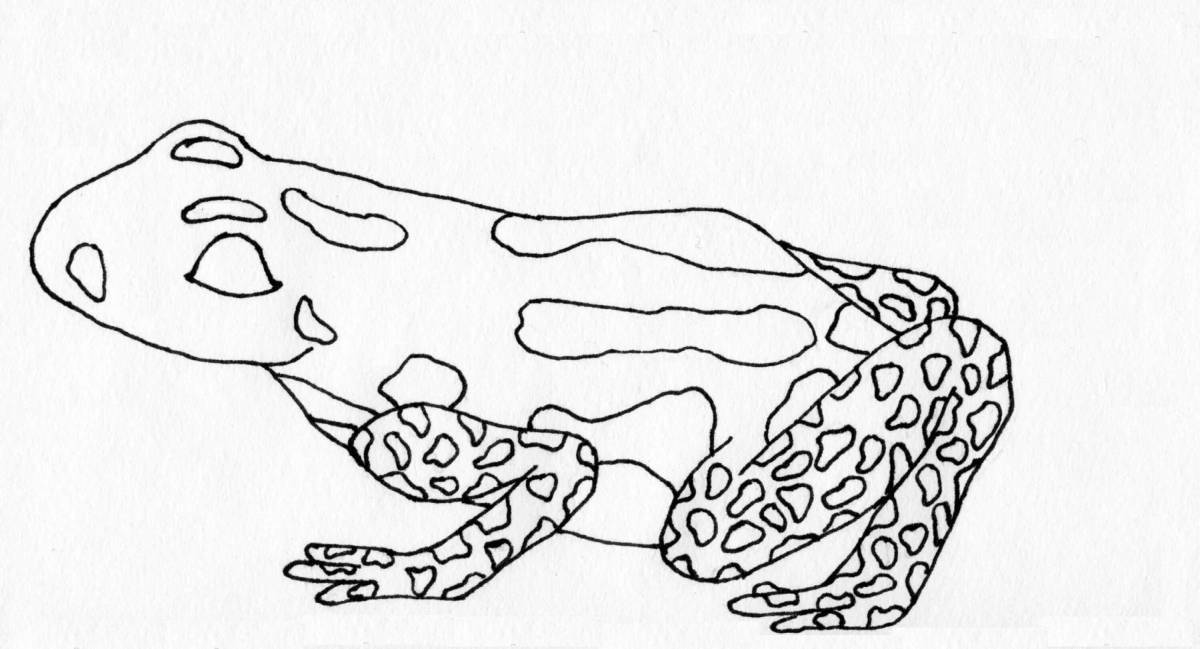 Светящаяся раскраска лягушка-дротик