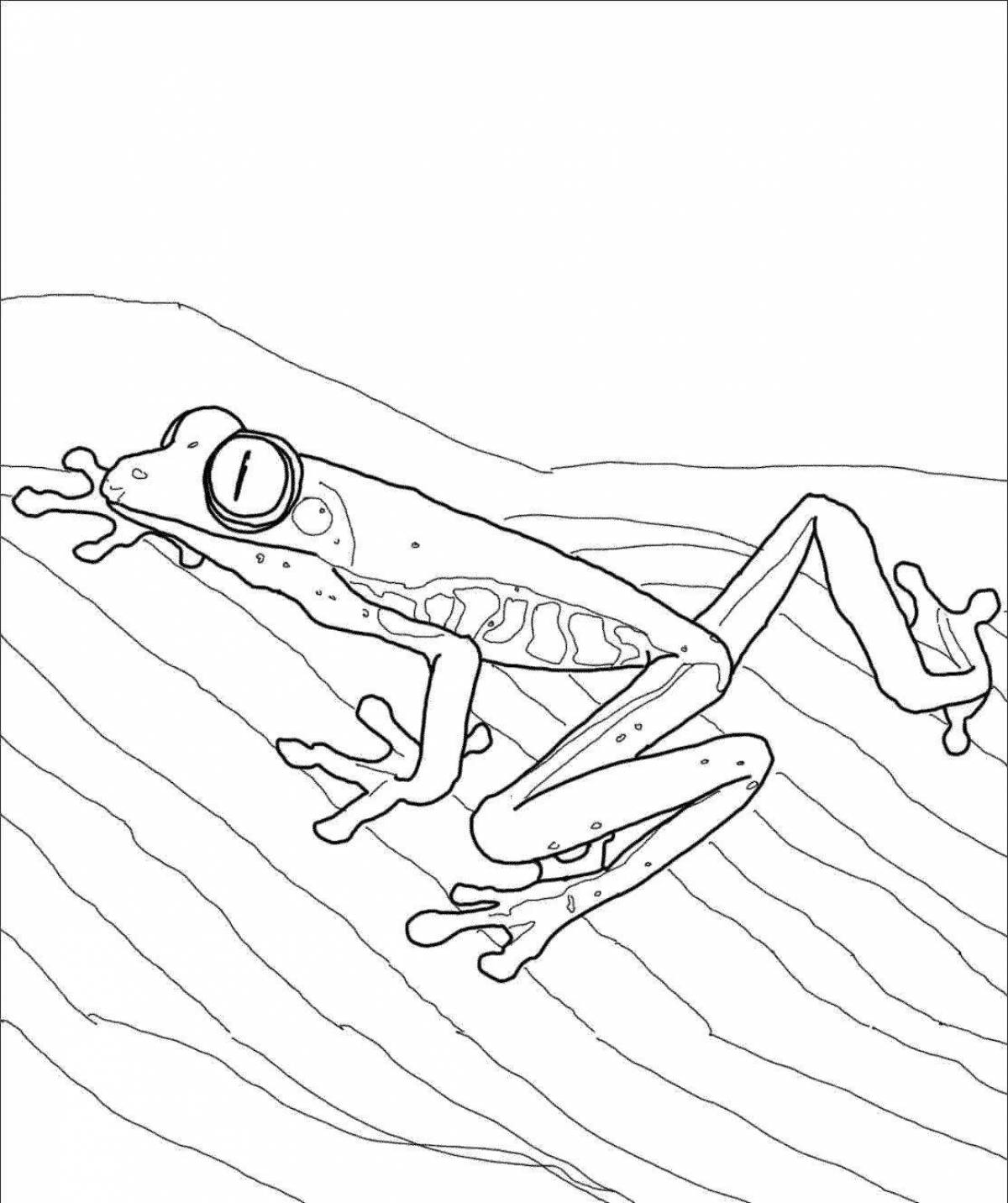 Потрясающая раскраска лягушка-дротик