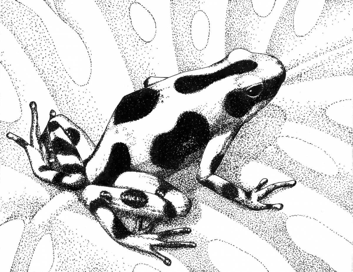 Grand coloring page dart frog